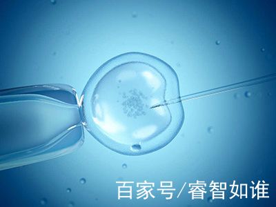 苏医生